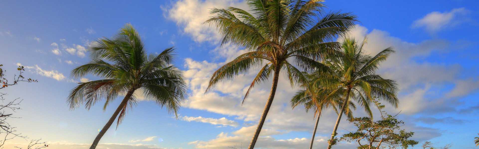 Kui Parks, Tropical Hibiscus Caravan Park, Mission Beach