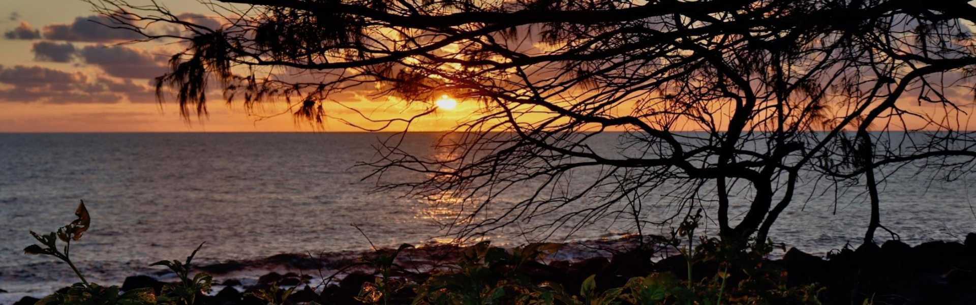 Kui Parks, Bundaberg, Oakwood Caravan Park