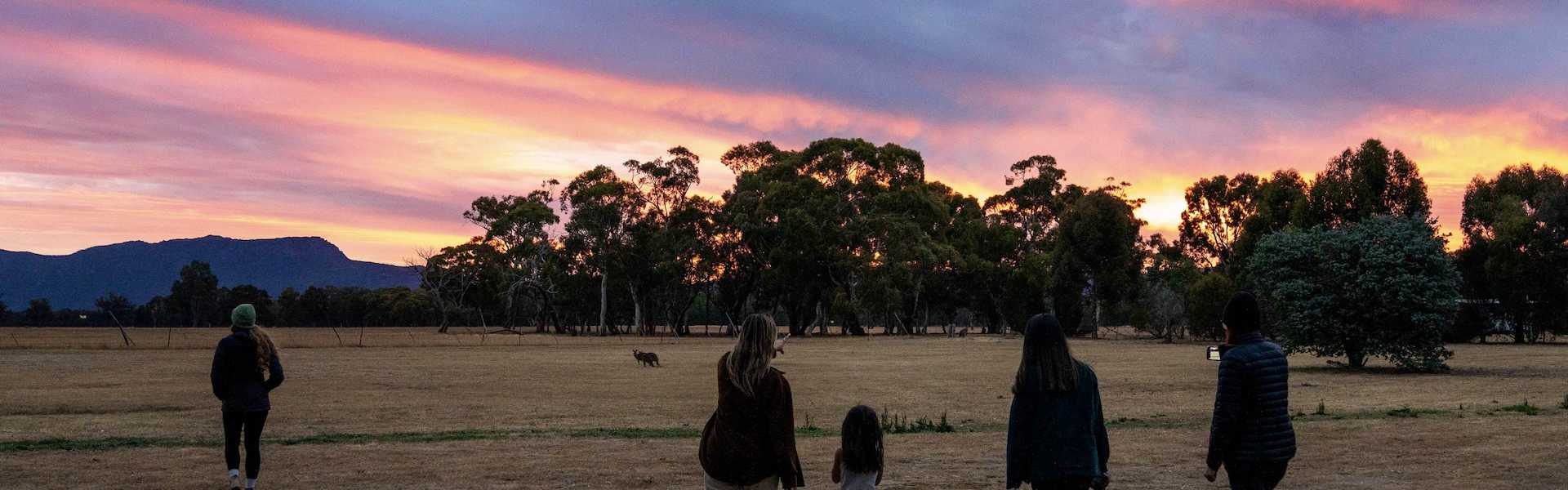 Kui Parks Escape at Grampians Edge Tiny Homes