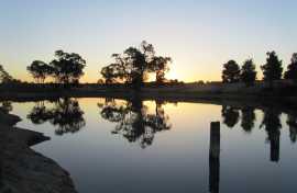 Kui Parks, Tingha Gems Caravan Park, Tingha, Lake