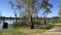 Kui Parks, Kingston on Murray Caravan Park, Murray River