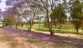 Kui Parks, Monto Caravan Park, Sites