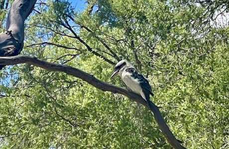 Kui Parks, Gogeldrie Riverside Park