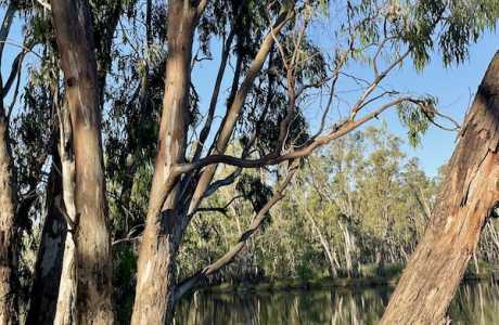 Kui Parks, Gogeldrie Riverside Park