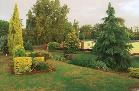 Kui Parks, Inverell Caravan Park, Gardens