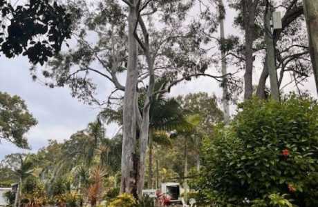 Maaroom Caravan Park Entrance