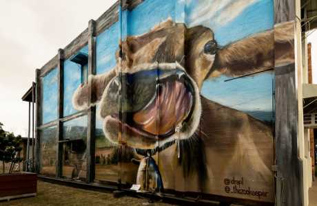 Kui Parks, Monto Caravan Park, Monto Newton Street Art Mural