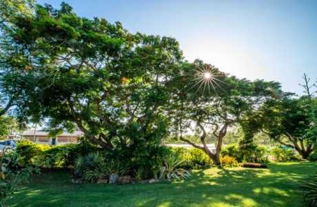 Kui Parks, Mount Larcom Tourist Park, Grounds