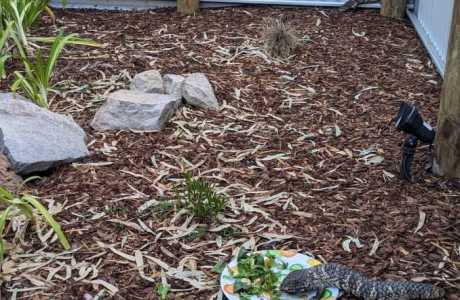 Kui Parks, Tiny Away @ Grampians Edge