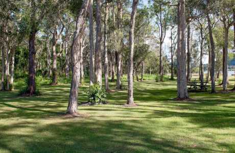 Kui Parks, Diamond Waters Caravan Park, Dunbogan, Caravan Sites