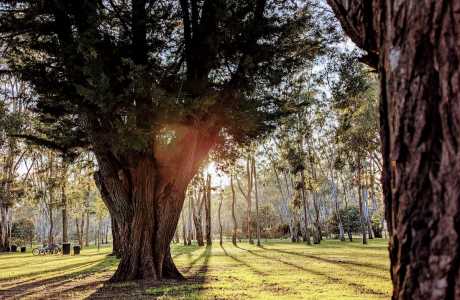 Kui Parks, Tiny Away @ Grampians Edge