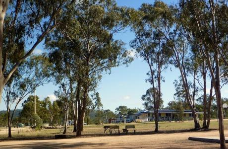 Kui Parks, Lake Leslie Tourist Park, Sites