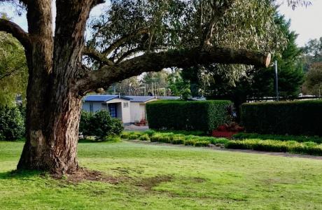 Kui Parks, Lilydale Pine Hill Caravan Park, Gardens