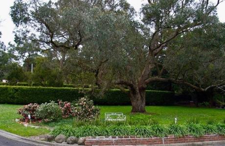 Kui Parks, Lilydale Pine Hill Caravan Park, Gardens