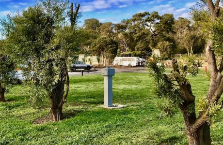 Kui Parks, Lilydale Pine Hill Caravan Park, Sites