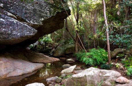 Kui Parks, Monto Caravan Park, Cania Gorge