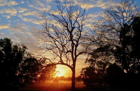 Kui Parks, Monto Caravan Park, Sunset