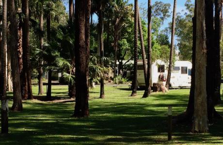 Kui Parks, Twin Dolphins Holiday Park, Tuncurry, Sites