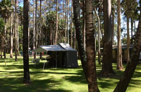 Kui Parks, Twin Dolphins Holiday Park, Tuncurry, Sites